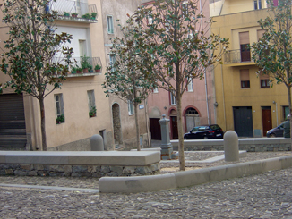 Cglieri