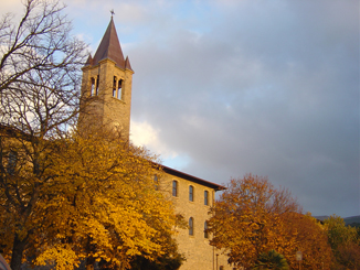 Cglieri