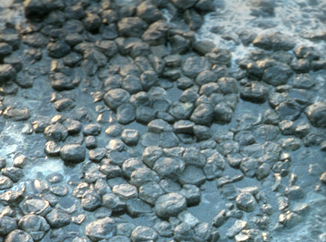 Selciato dei giganti